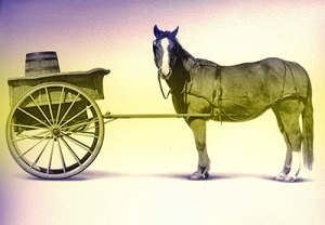 cart_before_the_horse1
