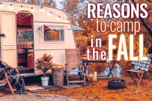 Reasons To Camp In The Fall